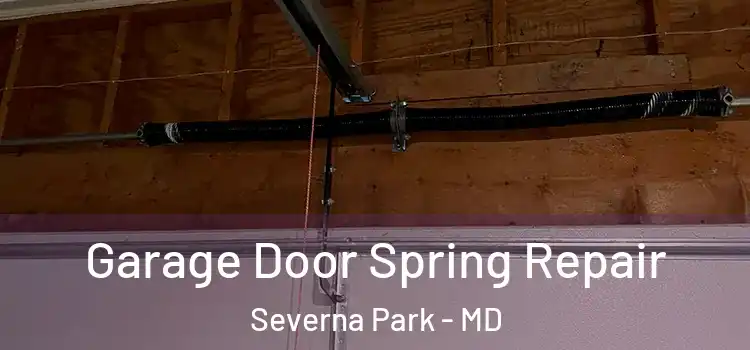  Garage Door Spring Repair Severna Park - MD